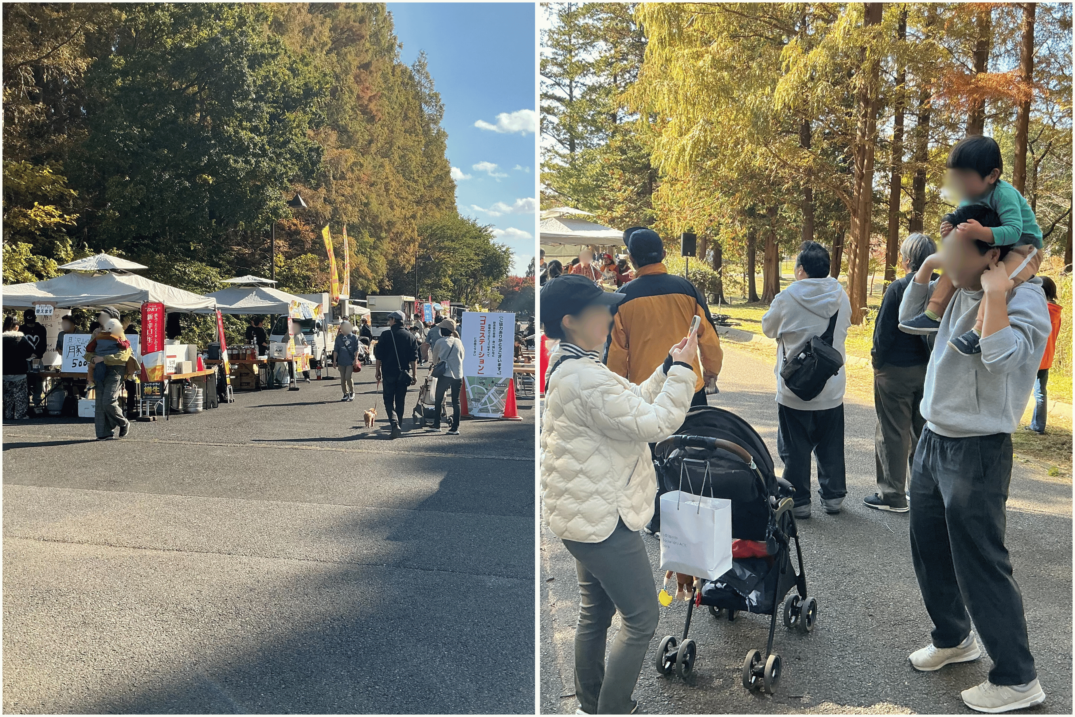 第23回 水元公園WAKATEフェスタ(2)